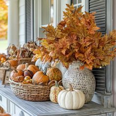 Have yourself a Pumpkin Kind of Day!!!  🍂🧡🍁🍂🧡🍁🍂🧡🍁🍂🧡🍁🍂🧡🍁 Praise God  Uplift others Meditate on God's word  Pray about everything  Know your limits  Influence others for good  Never give up...  🍂🧡🍁 Door Basket, Fall Decor Inspiration, Pumpkin Door, Candle Wall Decor, Decor Steals, Fall Thanksgiving Decor, Fall Table Decor, Fall Decoration, Fall Front Porch