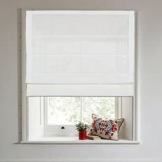 a window with white blinds and pillows on the windowsill in front of it is a red potted plant