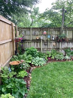 a garden with lots of green plants and flowers in the yard next to a wooden fence