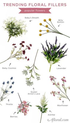 different types of flowers and their names on a white background with the words trending floral fillers