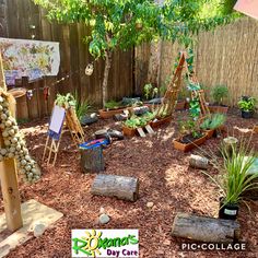 an outdoor garden area with various plants and trees in it, including succulents