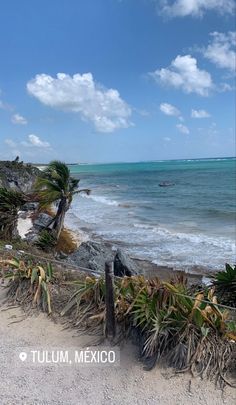 a beach with palm trees and the ocean in the backgroung, tulum, mexico