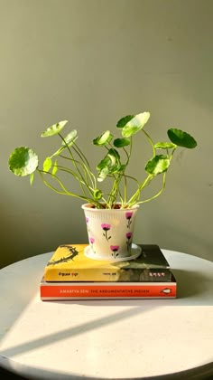 a potted plant sitting on top of two books