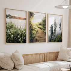 three paintings hang on the wall above a couch