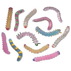 a group of different types of worms on a white background