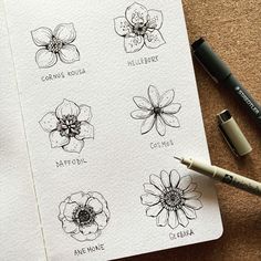 some flowers are drawn on top of a piece of paper with marker pens next to it