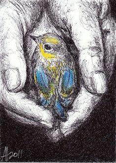 a drawing of two hands holding a small bird