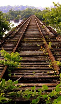 an old train track with trees and water in the background