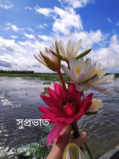 a person holding flowers in their hand near the water's edge with a sky background