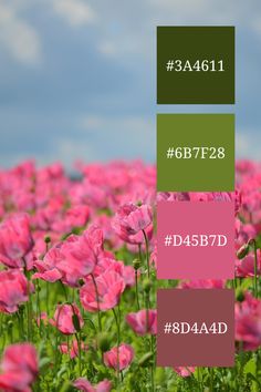 A breathtaking field of delicate pink poppies stretches as far as the eye can see, creating a stunning green and pink color palette. The vibrant blooms contrast beautifully against the lush green foliage and the soft blue sky.