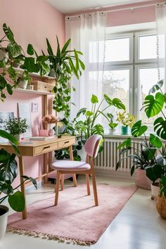 a living room with pink walls and lots of plants