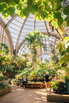 two people sitting on benches in the middle of a greenhouse filled with trees and plants