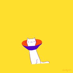 a cat with a frisbee in it's mouth on a yellow background