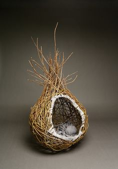 a bird's nest is made out of twigs