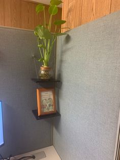 an office cubicle with a potted plant on the corner shelf and a computer monitor