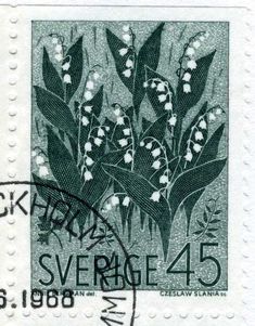 a stamp with flowers on it and the words sverge - 45 written in black