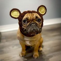 a small dog wearing a brown hat with ears on it's head sitting on the floor