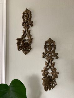 two decorative wall hangings on a white wall next to a green leafy plant