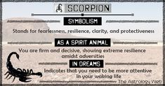 scorpion in the desert with words describing it's meaning and its meanings, including description