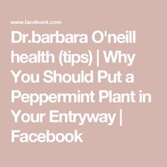 the words dr barbara o'neil health tips why you should put a peppermint plant in your entryway