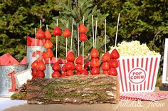 a table topped with popcorn and strawberries next to a christmas tree trunk filled with candy