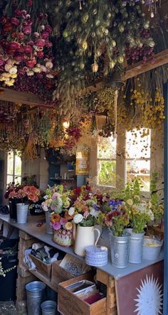 a room filled with lots of potted plants and flowers hanging from the ceiling above