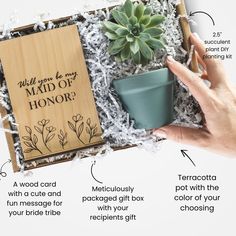 an open box containing a plant and some information about how to give it as a gift