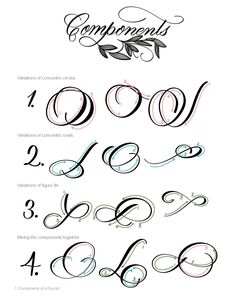 some type of calligraphy that is in different styles and font types, including the letter o