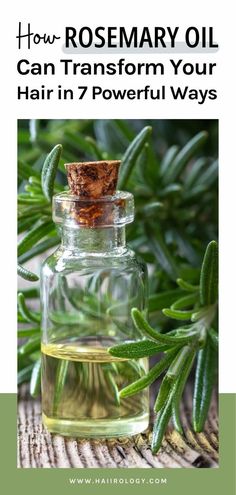 Rosemary oil is a game-changer for your hair! In this post, I share 7 incredible benefits of rosemary oil that can transform your hair care routine. From stimulating hair growth and reducing hair loss to improving scalp health and adding shine, rosemary oil has it all. Learn how to incorporate it into your routine, and even how to make your own rosemary oil at home. Ready for stronger, healthier hair? Visit the blog now to discover the magic of rosemary oil and how it can work wonders for you! How To Make Rosemary Oil, Rosemary Hair Oil Recipe, Rosemary For Hair, Rosemary Oil For Hair Growth, Stimulating Hair Growth