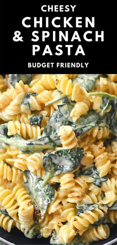 Cheesy Chicken and Spinach Pasta in a pan. Chicken And Spinach Pasta, Easy Cheesy Chicken, Beginner Cook, Spinach Pasta Recipes, Chicken Spinach Pasta, Red Sauce Pasta, Mexican Chicken Recipes, Recipes With Few Ingredients, Chicken And Spinach