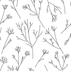 black and white drawing of branches with small leaves on the stems, as well as some smaller