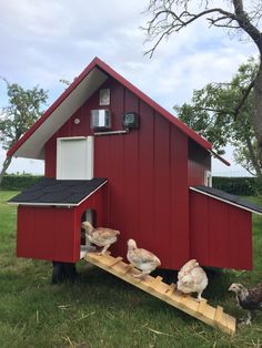 some chickens are standing in front of a red house