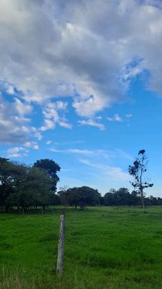 an open field with trees and clouds in the sky