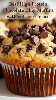 chocolate chip muffins on a plate with text overlay reading best high protein chocolate chip muffins with cottage cheese