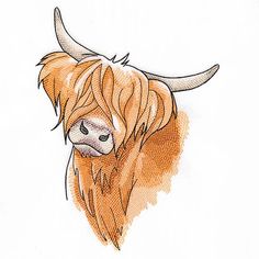 a drawing of a cow with long hair on it's head and horns,