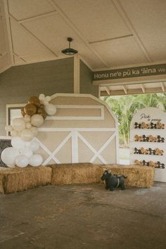 hay bales and balloons in front of a barn with an animal on the floor