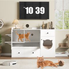 an orange cat laying on the floor in front of a white cabinet with a clock