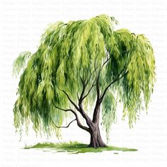 a drawing of a tree with green leaves