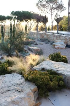 an outdoor area with rocks and plants in the foreground, surrounded by stone walls