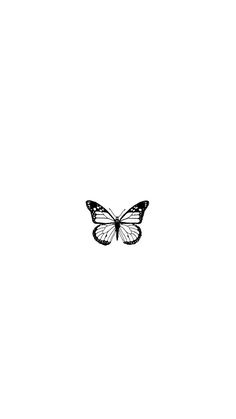 a black and white photo of a butterfly