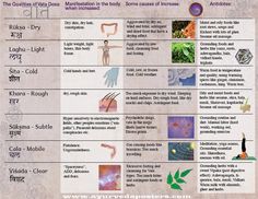 Ayurvedic Diet Vata, Tri Dosha, Vata Pacifying, Ayurveda Kapha, Ayurveda Dosha, Ayurveda Diet, Chakra Chart, Brain Based Learning