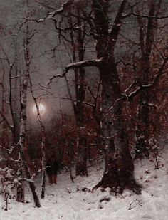 a snow covered forest filled with lots of trees under a full moon lit sky in the distance