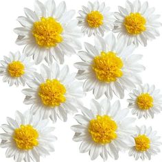 Daisy Tissue Paper Pom Poms Party Decorations White Yellow Flowers Wall Hanging Birthday Bridal Baby Shower Wedding Classroom Dcor. 12 inch 5 pcs 10 inch 5 pcs White Tissue Pom Poms Perfect for Wedding Backdrop, Bridal Shower, Engagement Party, Wedding Photo Booth, Baby Shower, Wall Decorations,Brithday Party, Nursery Decoration Size: 12" x 12". Party Decorations White, Sunflower Paper Flowers, Flower Party Decorations, Daisy Decorations, White Yellow Flowers, Daisy Party, Paper Party Decorations, Tissue Pom Poms, Paper Balls