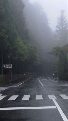 an empty street in the middle of a foggy forest