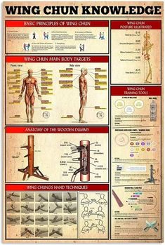 an old poster shows how to use wing chuns for the upper body and lower limbs