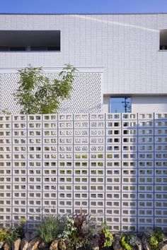 a large white building with many plants in front of it