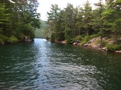 a river surrounded by trees and rocks