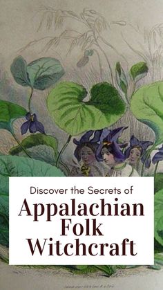 a book cover with an image of flowers and leaves in the background, which reads, discovering the secrets of appalachian folk witchcraft