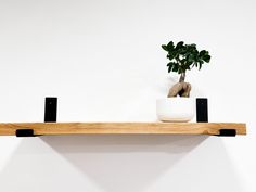 a potted plant sitting on top of a wooden shelf next to a white wall