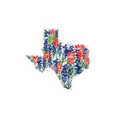 the texas state with flowers painted on it